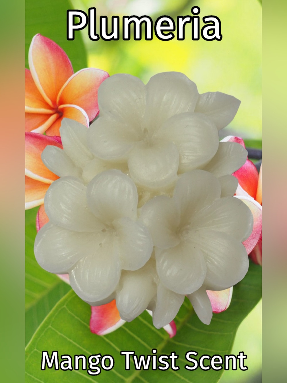 White Plumeria Flower Wax Melts in Mango Twist - 4 Flowers
